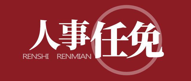 重庆人大最新任免公告及步骤指南