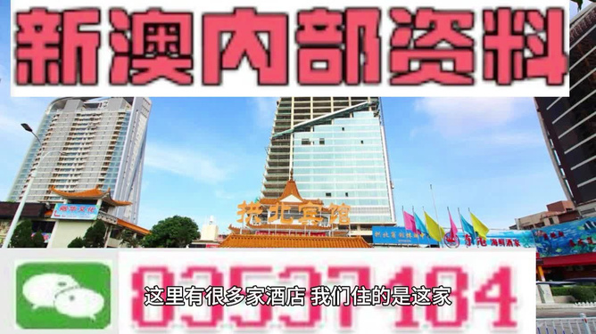 新澳精准资料免费提供特色,专业解读方案实施_VVG49.131编辑版