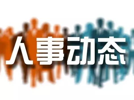 太原最新干部调整公示公告✨