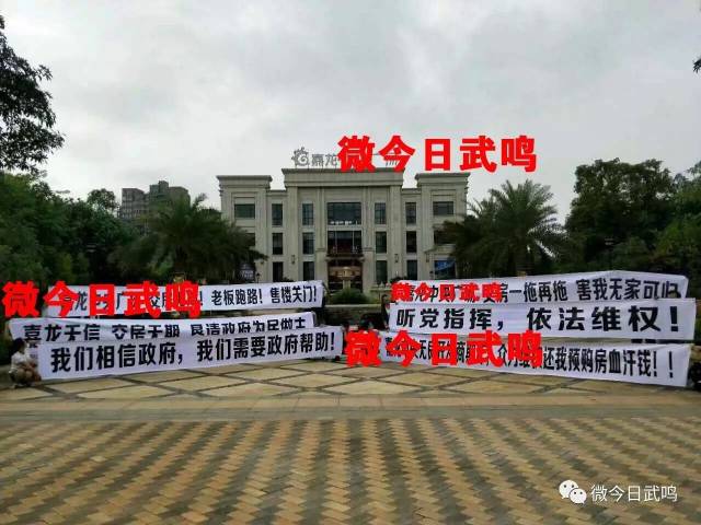 武鸣里建最新房价，投资热点与趋势分析及购房指南