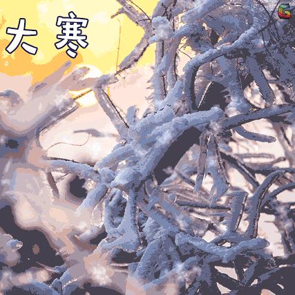 2024年白萝卜最新价格回顾与展望，洞悉市场趋势