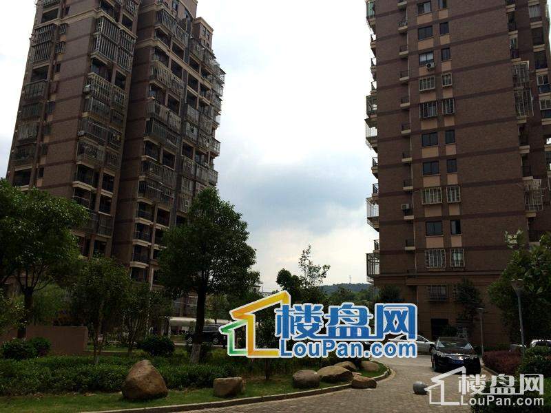 建阳万晟星城最新动态，小巷深处的独特风情