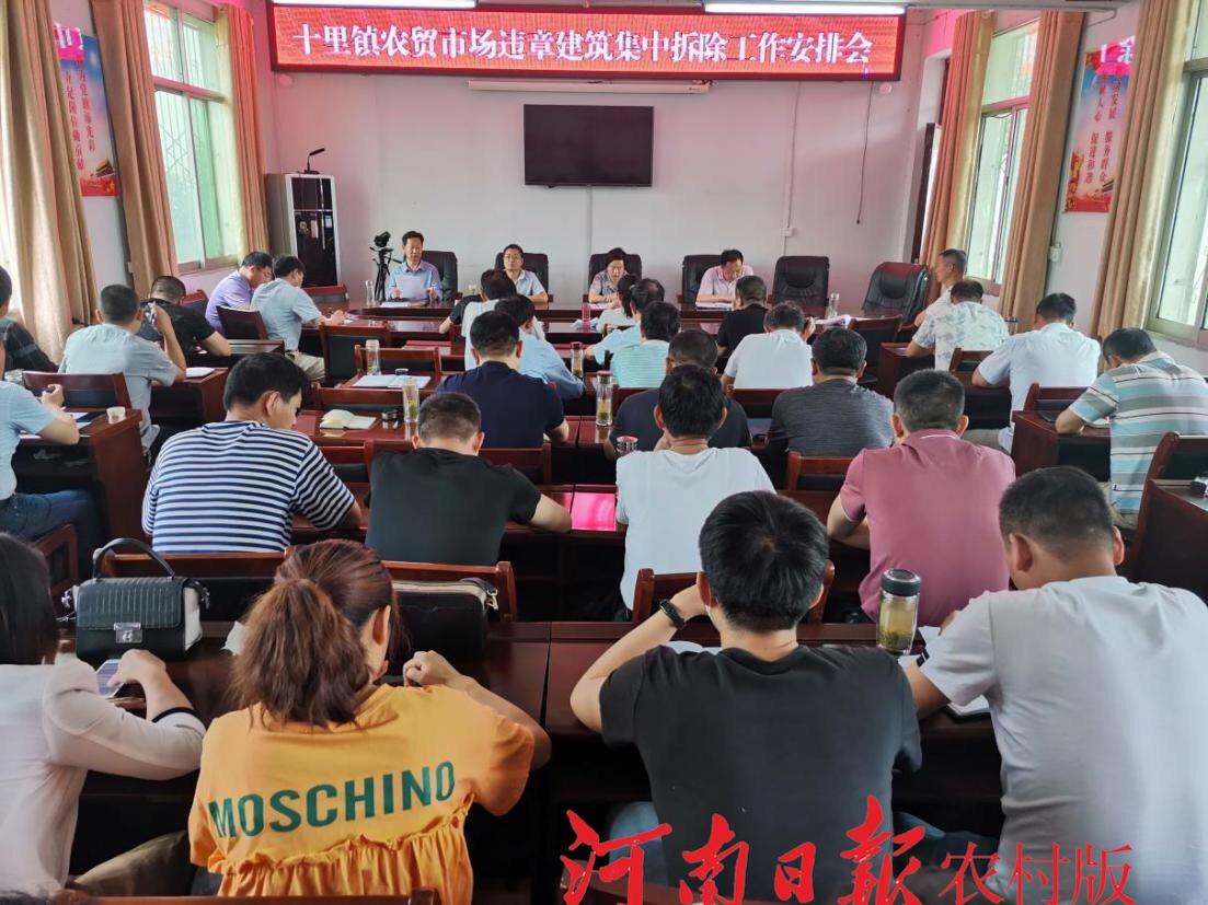 光山新闻最新动态，十里友情之光与日常趣事聚焦