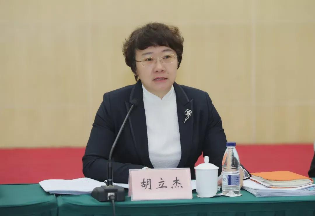 公吉寺程峰最新动态揭秘，小巷中的隐藏美食宝藏