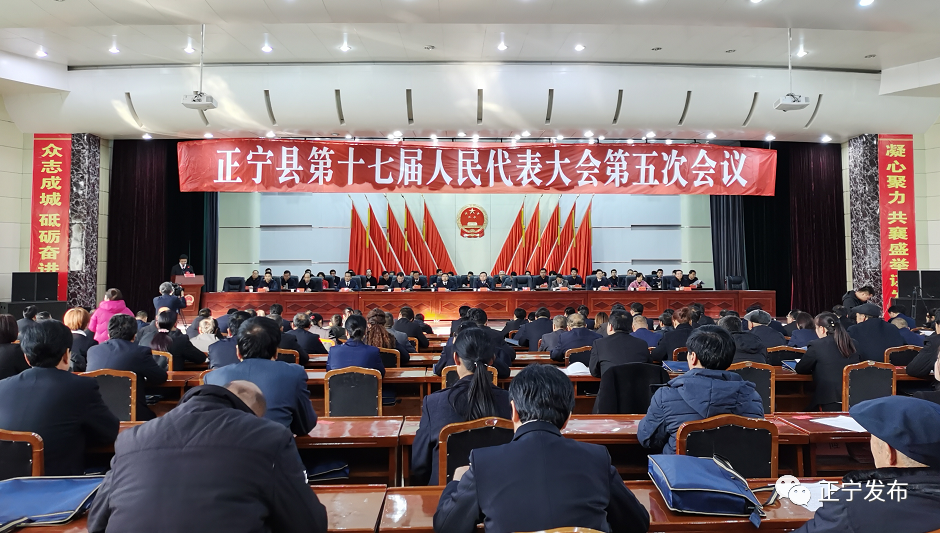 正宁县长口子最新动态揭秘，小巷深处的隐藏瑰宝