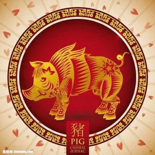 摇钱树四肖八码期期三码必中,数据驱动决策_紧凑版31.170