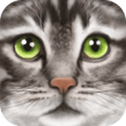 探索猫咪最新版本的下载之路，拥抱变化，成就自信人生