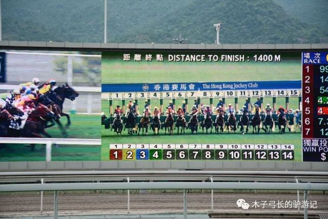 2024香港赛马全年免费资料,深度研究解析_超级版54.847