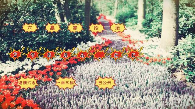 最准一肖一码100%噢,解析解释说法_艺术版77.222