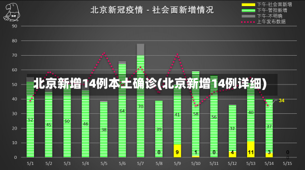 北京最新确诊病例更新与日常小趣事概览