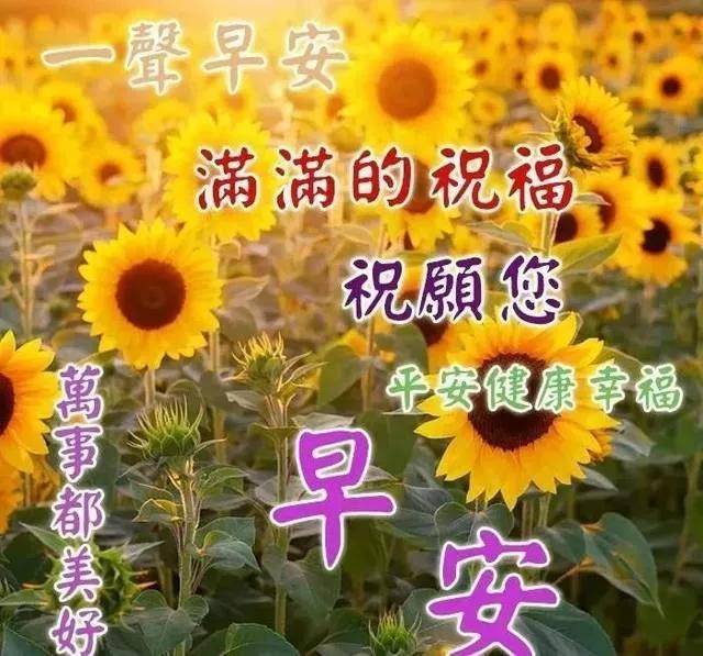 早上好温馨祝福与步骤指南