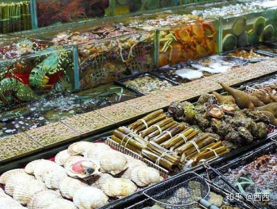 最新海鲜池主管招聘，探索自然美景，寻找内心宁静与平和的奇幻之旅