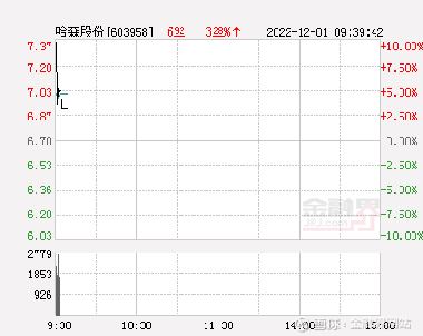哈森股份股票投资潜力与前景展望分析