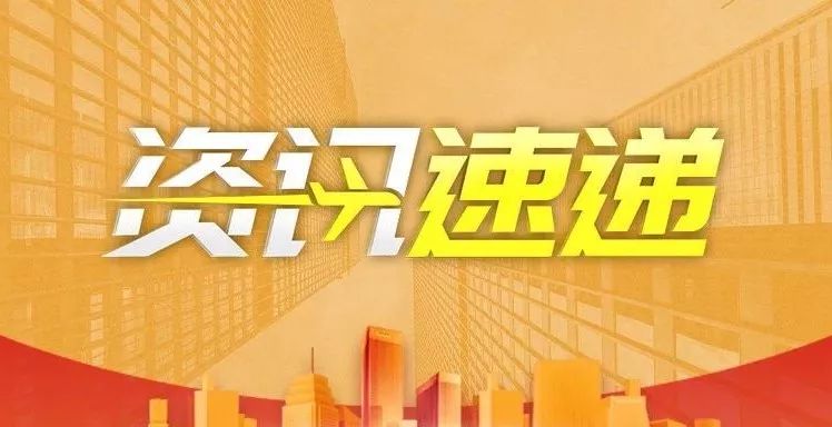 马会资讯速递，从入门到进阶——任务完成与技能学习指南