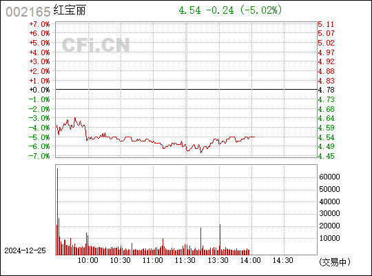 股票红宝丽，深度探究其魅力与价值