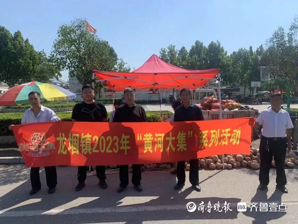 山东龙堌动态，探寻古老村落的新发展之路