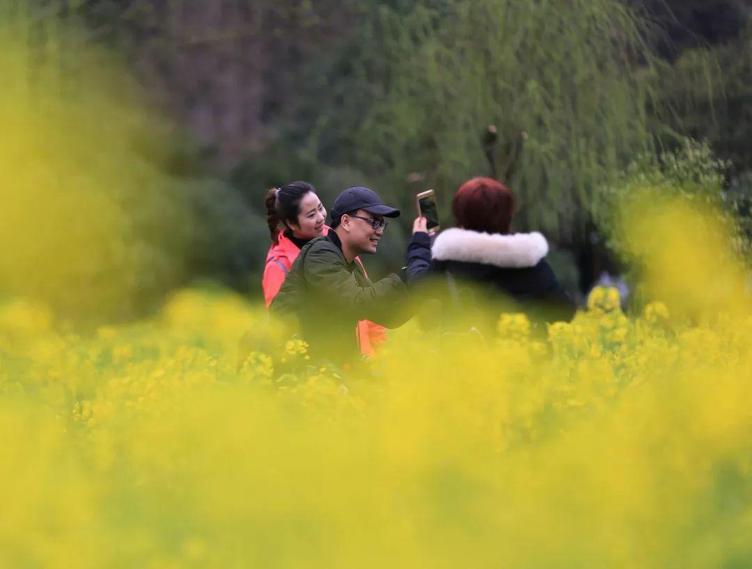 张家界实时天气，自然之美的气象解读与旅游指南