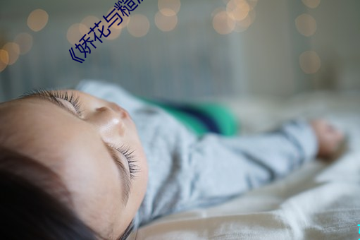 CL最新地址一，探索科技前沿，掌握最新资讯的平台