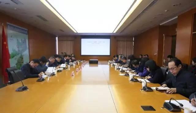 最新国际快递资讯与实用指南