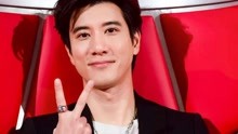 娱乐圈最新动态与探索自然美景的双重探索，寻找内心的平和之地