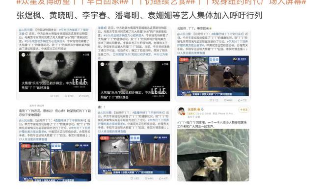 丫丫归国最新消息及步骤指南