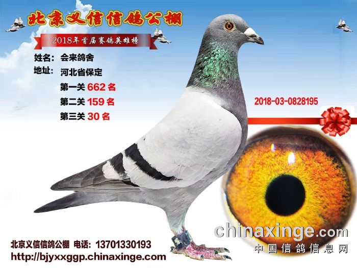 北京义信公棚最新动态，引领行业发展，先锋力量展现