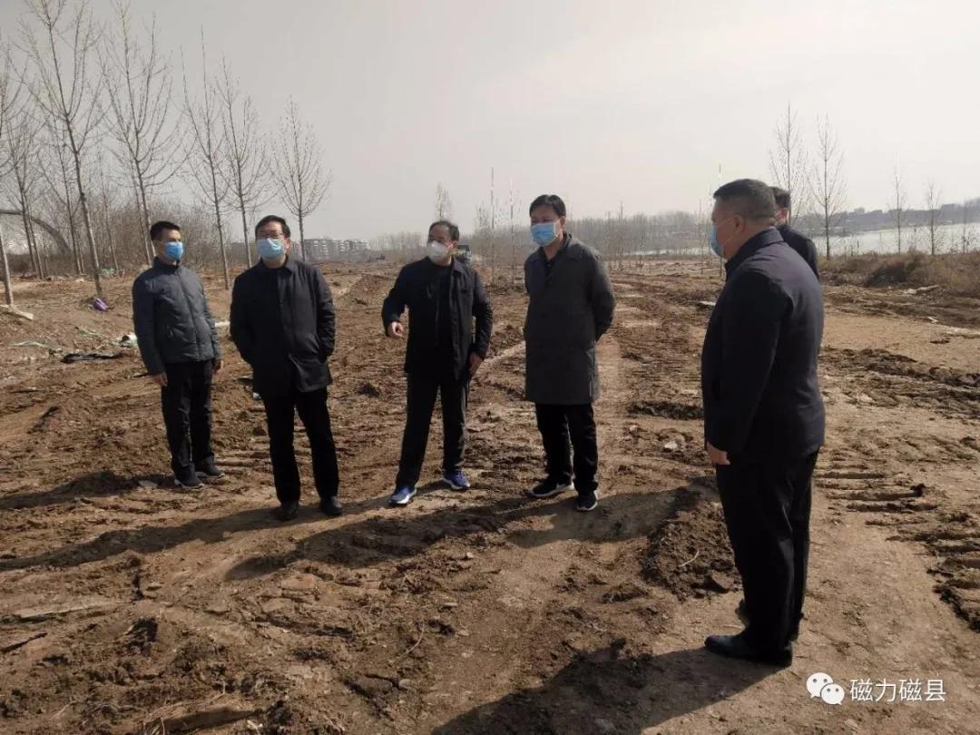 磁县最新常委名录及其背后的温馨故事概述