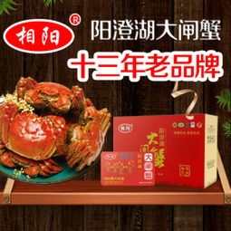 太湖大闸蟹价格，家的味道与价值的完美结合