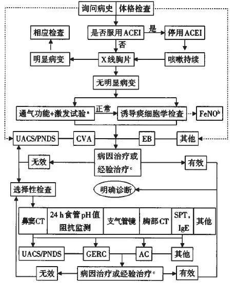 哮喘最新治疗指南，温馨故事与实用指南结合的治疗之路