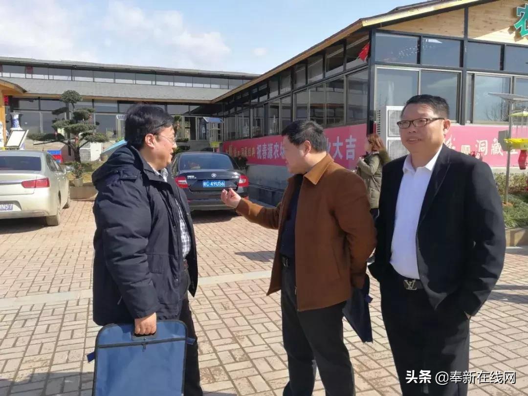 奉新人才网招聘信息全面解读，多元职位一网打尽！