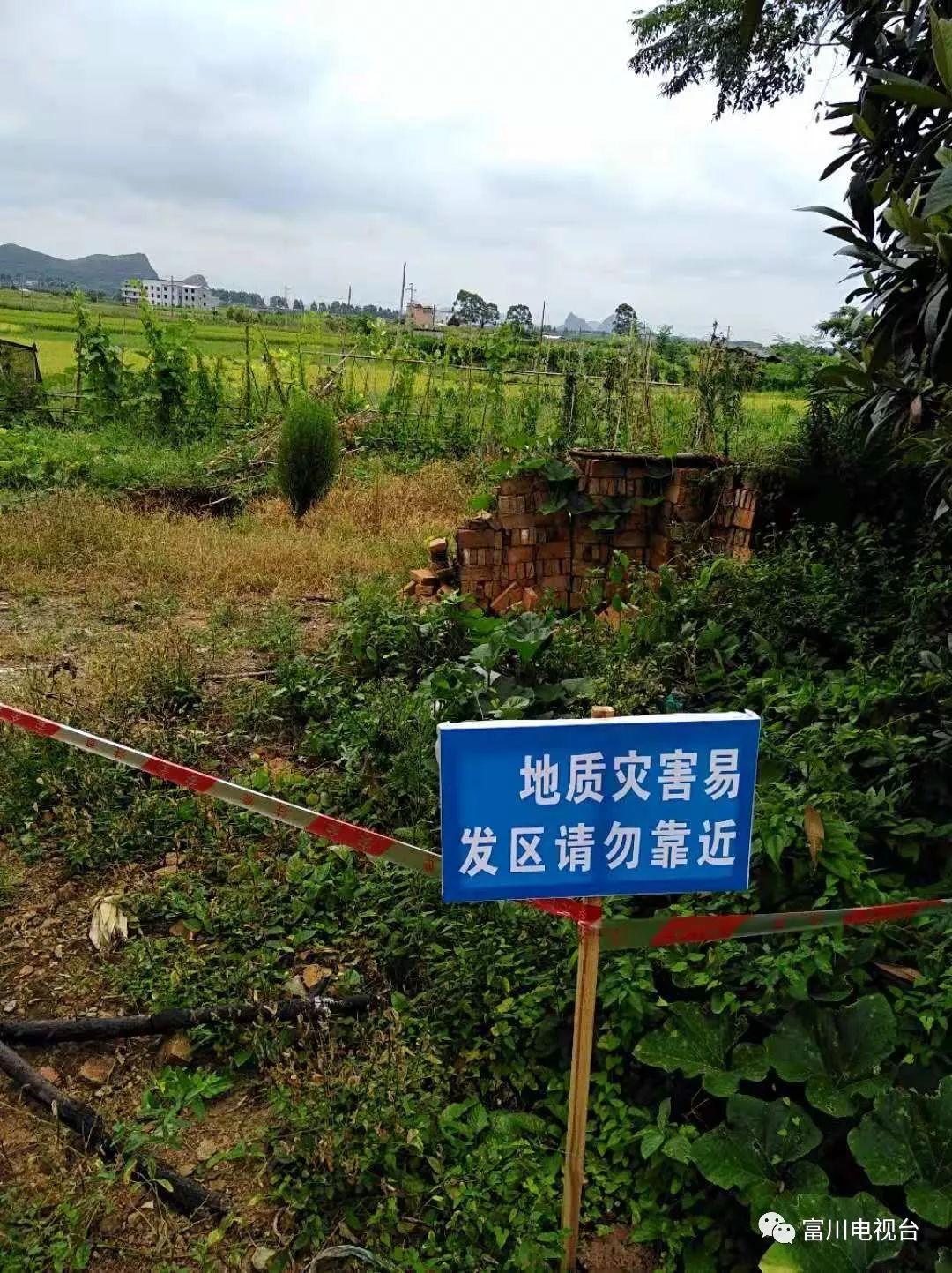 星空下的温馨日常，天噜啦最新精选分享