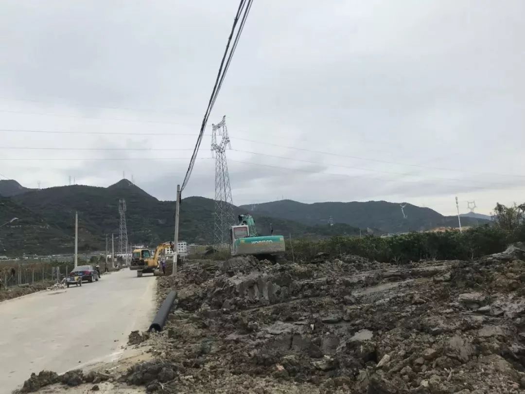 路桥区副区长任命动态揭秘，探寻小巷深处的独特风味